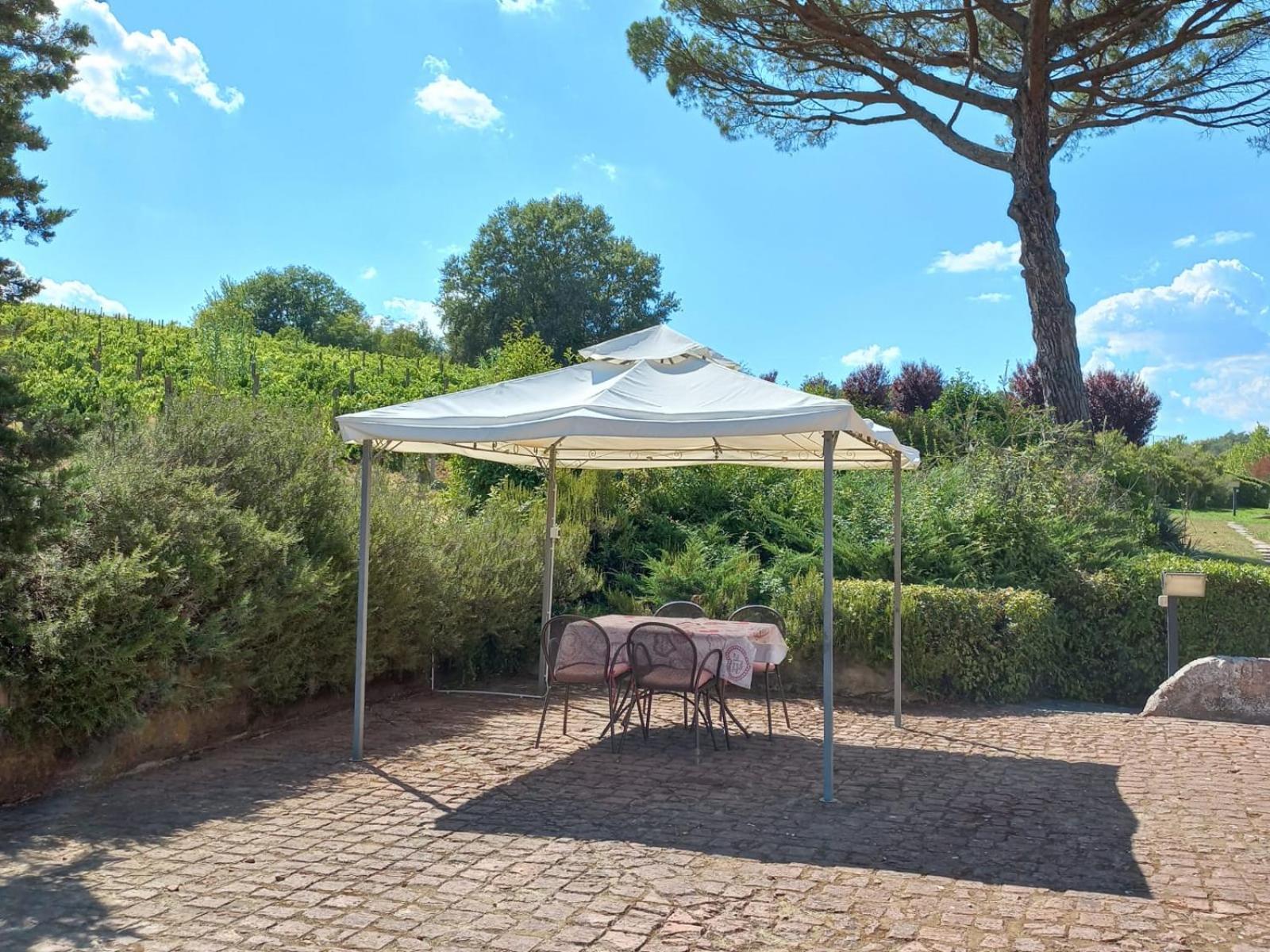 Agriturismo Buon Riposo - Country Resort In The Heart Of Tuscany San Giovanni a Corazzano Экстерьер фото